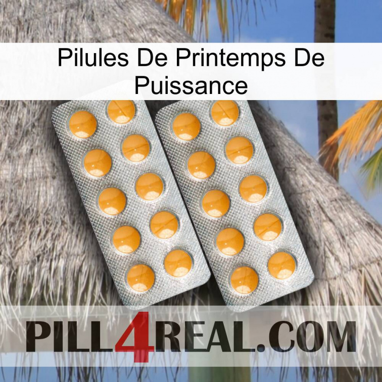 Power Spring Pills levitra2
